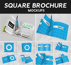 正方形商业手册展示模型：Square Brochure Mockups